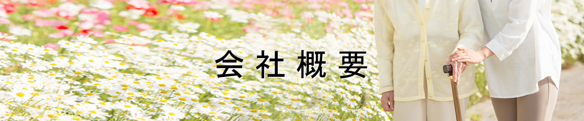 ЊTv